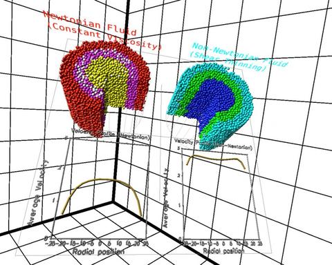 Image of simulations. 