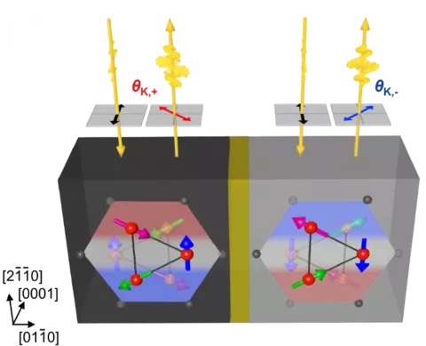 The image shows two regions with opposing chiral antiferromagnetic domains (gray/black) in the chiral antiferromagnet Mn3Sn.