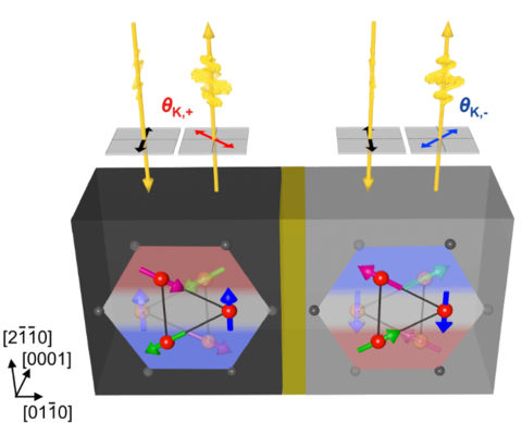 The image shows two regions with opposing chiral antiferromagnetic domains (gray/black) in the chiral antiferromagnet Mn3Sn.