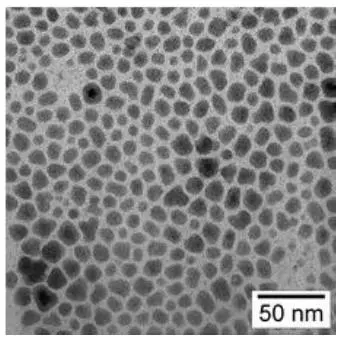 gold nanoparticles magnified many thousands of times. The scale bar in the corner is for 50 nanometers.