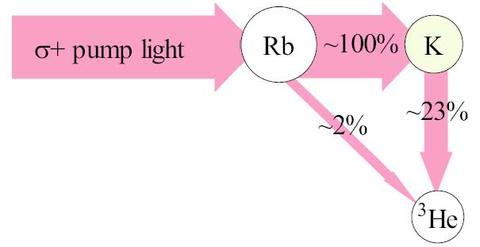 Polarization Transfer to 3He