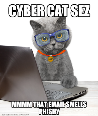 Cyber cat says 'mmmm, that email smells phishy
