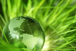 Glass globe nestled in green grass.