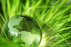 Glass globe nestled in green grass.