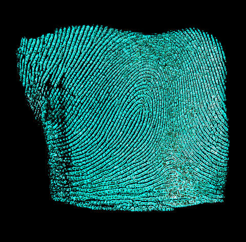 image of fingerprint