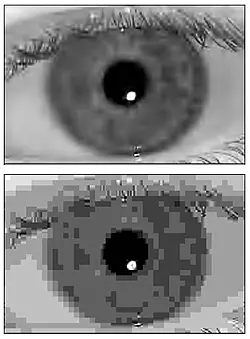 top image: black and white iris. bottom image: pixelated black and white iris image.