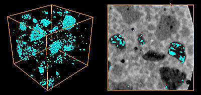 X-ray microtomograph shows pores that remain within lightweight aggregates (LWAs) after water has migrated from the pre-wetted materials during the first day of hydration