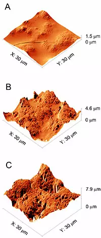 epoxy samples