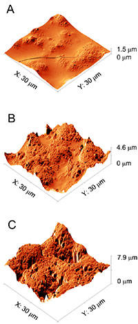 epoxy samples