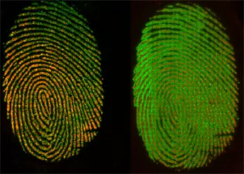 Chemical imaging of a fingerprint 
