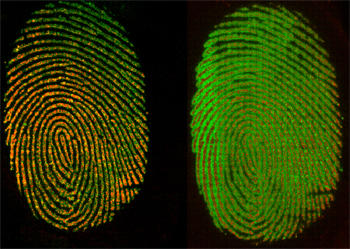 Chemical imaging of a fingerprint 