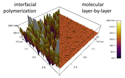 Atomic force microscopy images comparing mLbL film to its interfacially polymerized counterpart.