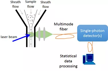 Quantum Biophotonics