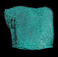 fingerprint