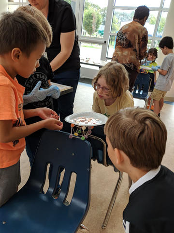 Small group of children test the strength of a gumdrop and toothpick bridge suspended between two chairs by weighing it down with change. 