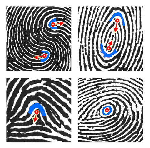Latent fingerprint feature examples; Credit: ANSI-NIST-ITL Latent fingerprint feature examples; Credit: ANSI-NIST-ITL