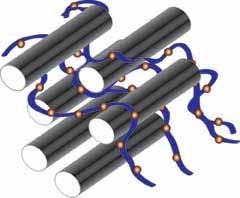 single-walled carbon nanotubes