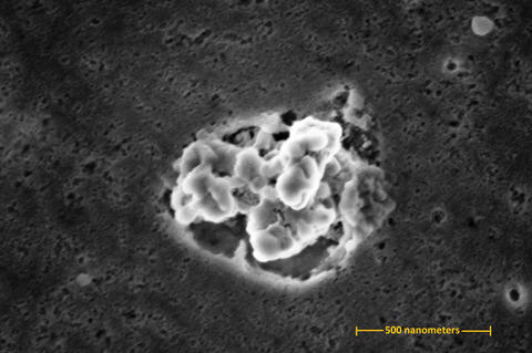 An electron micrograph showing a globular cluster of silver nanoparticles atop the surface of a cutting board from which it was scratched off.