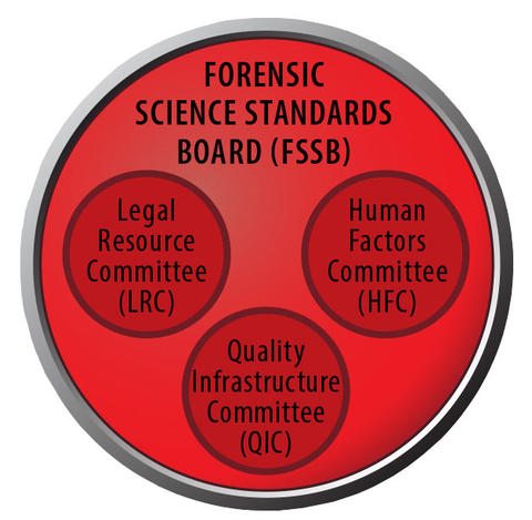 red circle with header Forensic Science Standards Board. Inside, three smaller red circles labeled Legal Resource Committee, Human Factors Committee and Quality Infrastructure Committee