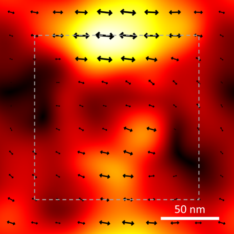 individual fluorescent molecules