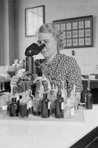 Mary Rollins surrounded by sample bottles peers into a desktop microscope