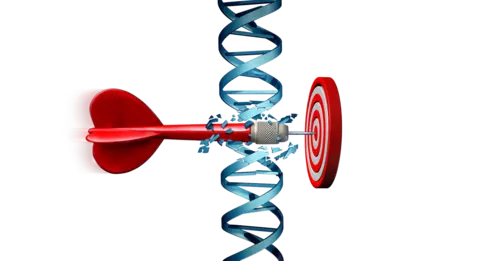 An arrow cutting through DNA and hitting target