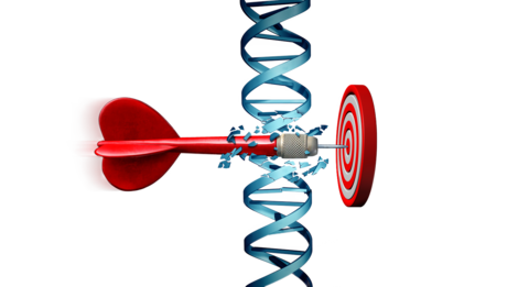 An arrow cutting through DNA and hitting target