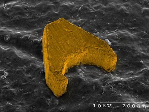 Photomicrograph shows Mag-µBot, the entry from Carnegie-Mellon University in the NIST Mobile Microrobotics Challenge.