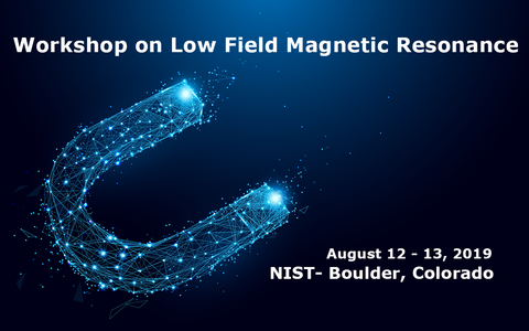 Low Field Magnetic Workshop