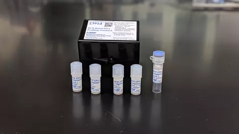 portrait of five plastic vials on a table. There is a black box behind them that reads "2391d PCR-Based DNA profiling standard."
