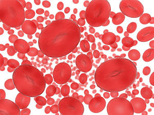 red blood cells