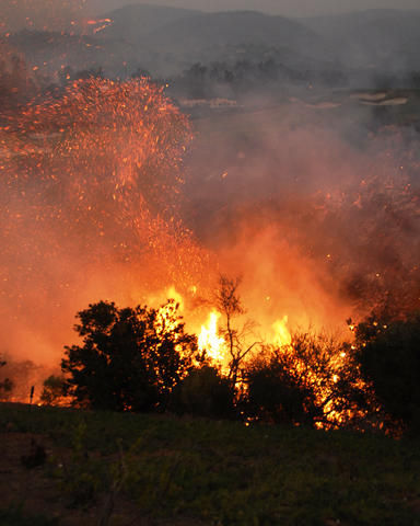 A wooded area aflame during the 2007 Witch Creek/Guejito wildfire in Southern California. 