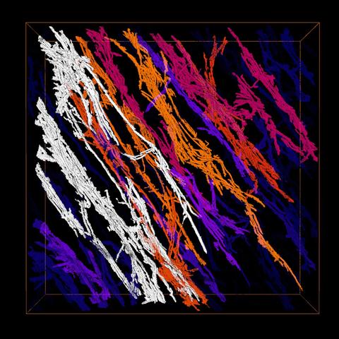 image of a 3D volume reconstruction of a forest of carbon nanotubes (CNT) embedded in epoxy