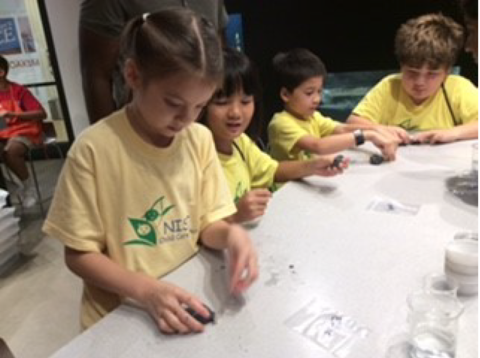 CCC campers exploring the world of STEM. 