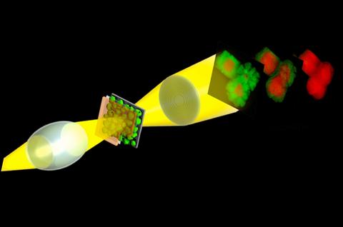  Spectro-microscopy of LiCoO2 battery electrode during deep discharge.3