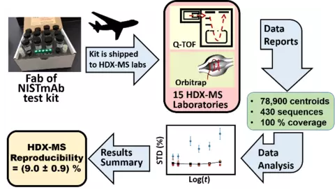HDX-MS Interlaboratory Scheme