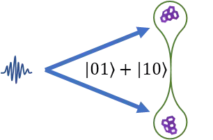 Schematic of quantum entangled molecules or nanoparticles in dual cavity system.