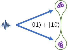 Schematic of quantum entangled molecules or nanoparticles in dual cavity system.