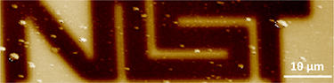 Non-destructive EFM phase image of metal lines buried beneath 800 nm thick glass, full scale change in contrast corresponds to 35 degree change in phase. The white bar is 10 µm.