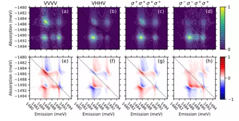 Example polarization-dependent data from the semiconductor microcavity.