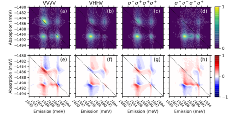 Example polarization-dependent data from the semiconductor microcavity.