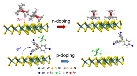 Schematic of interface engineering 2D materials.