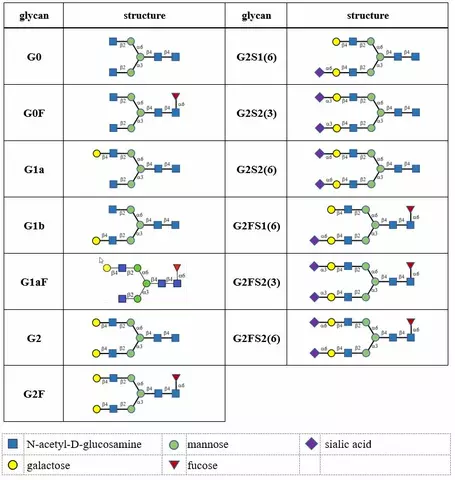 A table containing the 13 N-linked glycan structures to be included in NIST SRM 3655