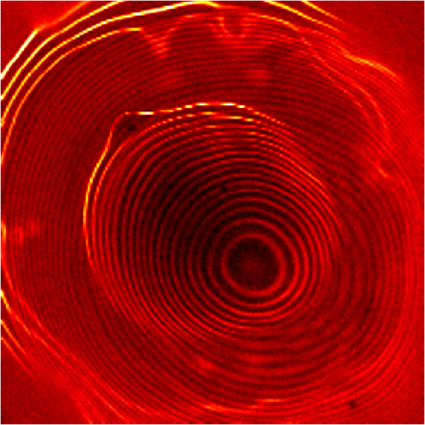 STM image of electrons in two coupled quantum dots