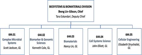 BBD Org Chart