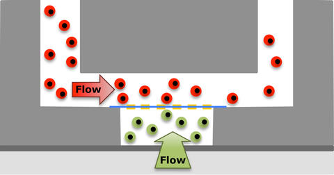 Microfluidic tissue/organ on a chip system