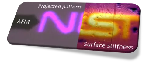 An image showing the hybrid AFM + SLA system from the SPM4AMP project