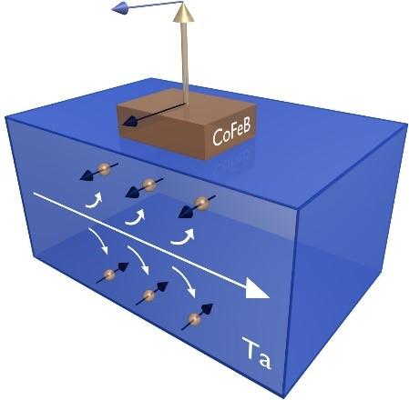 A current (white arrow) flowing through a tantalum film generates a current of spins (dark blue arrows)  that impinges on the ferromagnetic cobalt iron boron layer and causes the magnetization (gold arrow) to charge directions (light blue arrow).