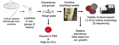 DARPA IV&V Workflow
