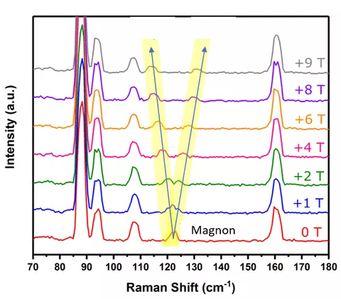 raman spectra graph